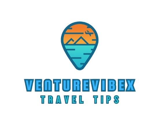 venturevibex